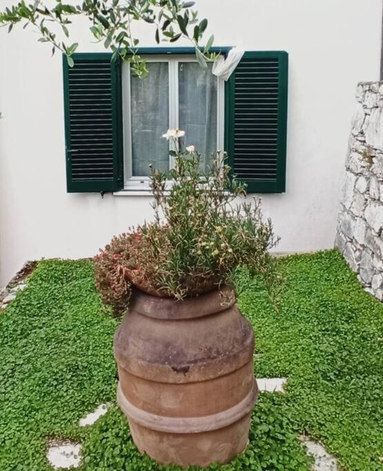 Apartmán La Piazzetta Di Gra E Baldo Sestri Levante Exteriér fotografie